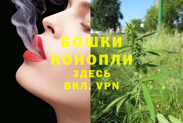 ПСИЛОЦИБИНОВЫЕ ГРИБЫ Козельск